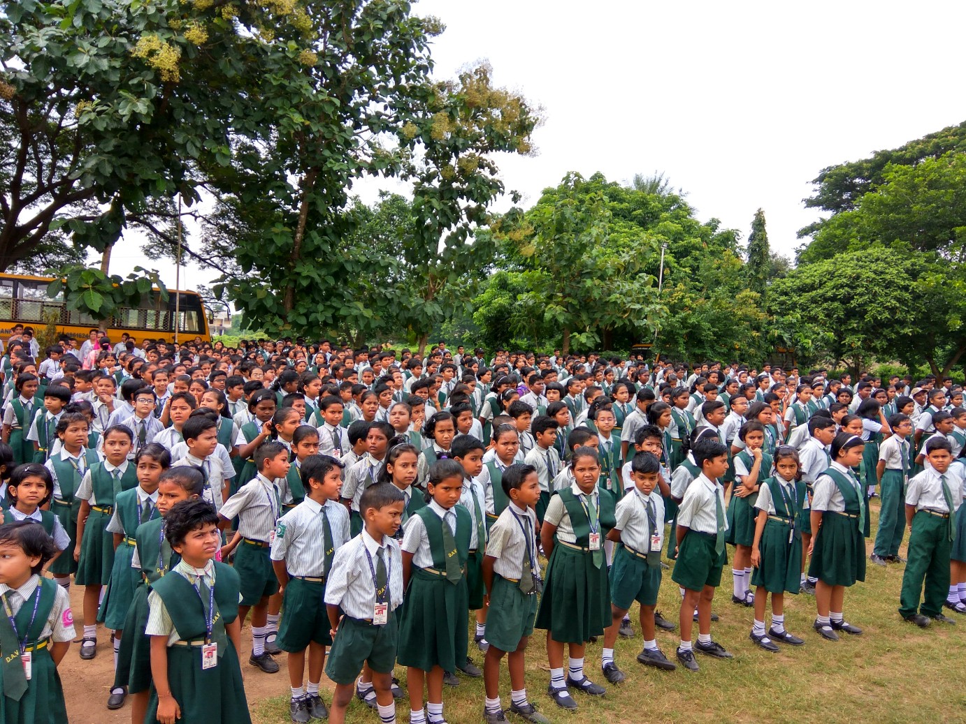 Assembly Activities